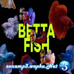 Alldone Klaar Betta Fish Feat Saykoji & Ngapz